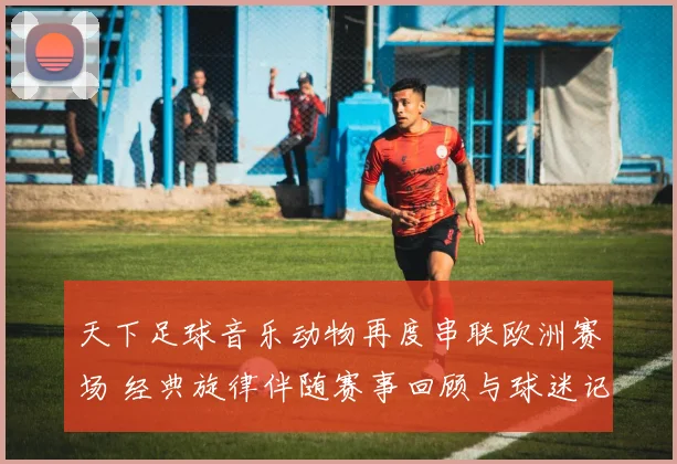 天下足球音乐动物再度串联欧洲赛场 经典旋律伴随赛事回顾与球迷记忆再被唤醒