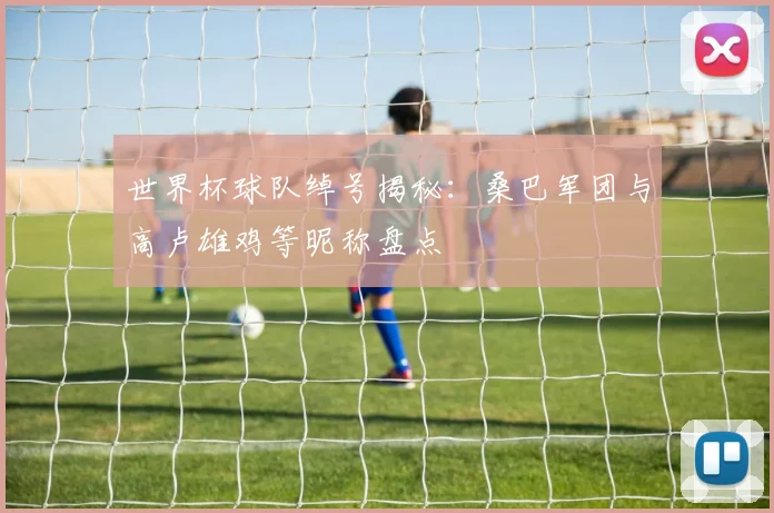 世界杯球队绰号揭秘:桑巴军团与高卢雄鸡等昵称盘点