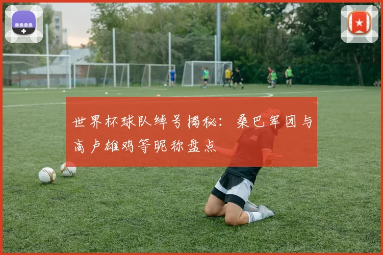 世界杯球队绰号揭秘:桑巴军团与高卢雄鸡等昵称盘点